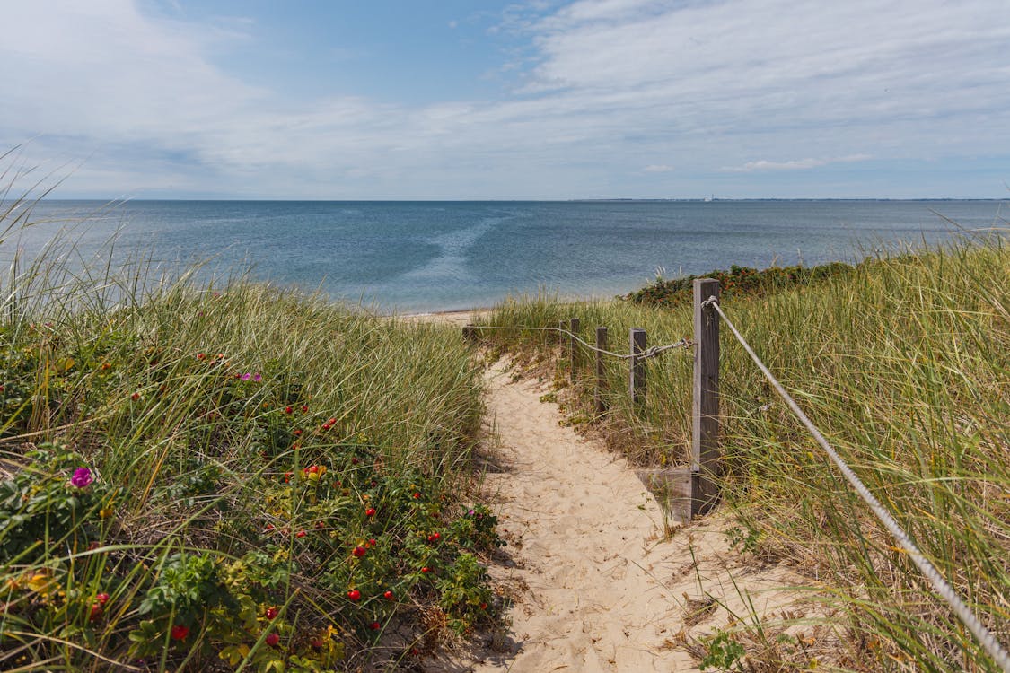 Scenic sandy pathway through Cape Cod dunes leading to the ocean